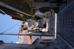 DSC08533