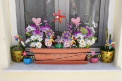 DSC08541